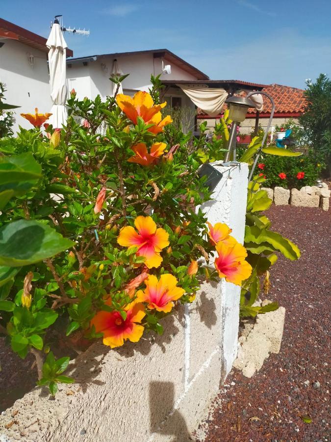 Villa Daita 1 Granadilla De Abona Buitenkant foto