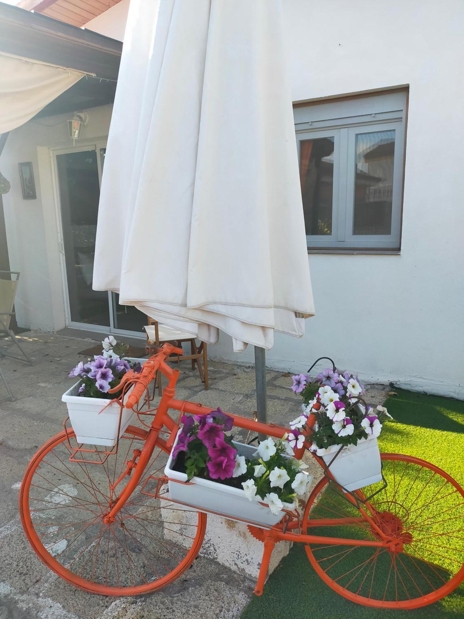 Villa Daita 1 Granadilla De Abona Kamer foto